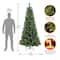 7.5ft. Pre-Lit Pilchuck Pine Artificial Christmas Tree, Warm White LED Lights